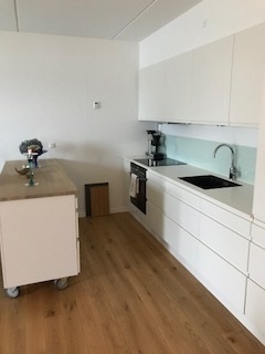Göteborg plads nordhavn apartments for rent 70 sqm 70 køkken