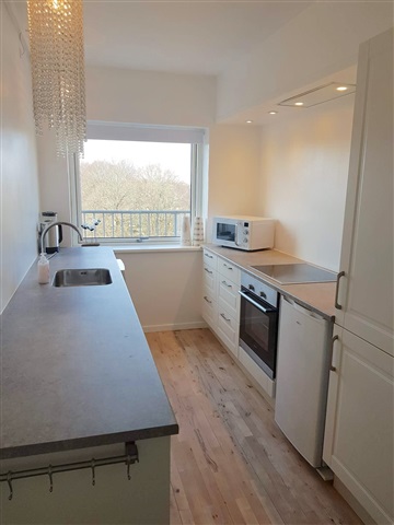 Vesterbro aalborg rooms for rent 12 sqm 70 køkken