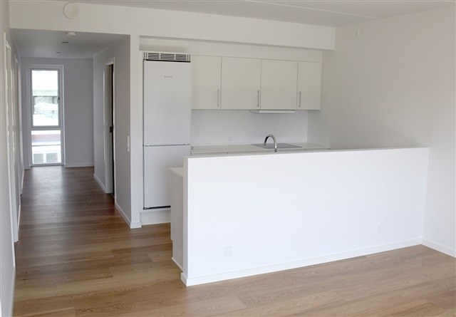 Blumersgade horsens apartments for rent 103 sqm rented